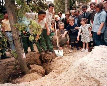 Giardini di Via Ruoppolo al Vomero, Napoli: Ulivo piantato in memoria di Silvia (1997)